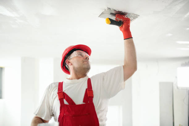 Best Commercial Painting  in Rodeo, CA