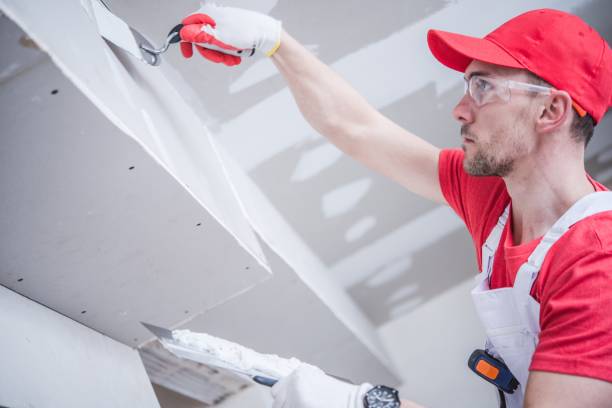 Best Fire-Damaged Drywall Repair  in Rodeo, CA